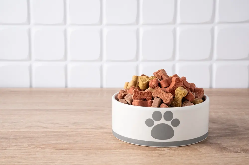 Is pet food ultra-processed?